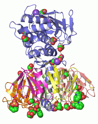 Image Asym./Biol. Unit - manually