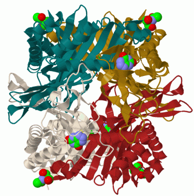 Image Biol.Unit 1 - manually