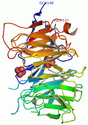 Image Asym./Biol. Unit - manually