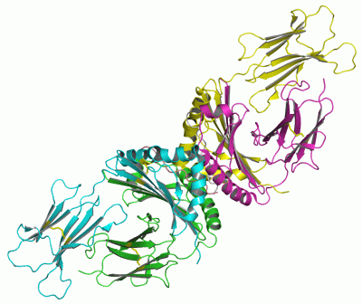 Image Asym.Unit - manually