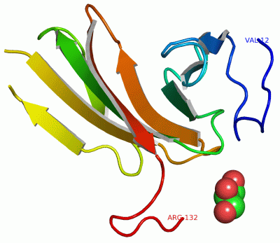 Image Asym./Biol. Unit - manually