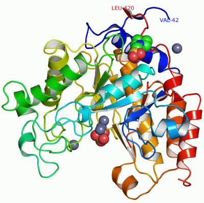 Image Asym./Biol. Unit - manually