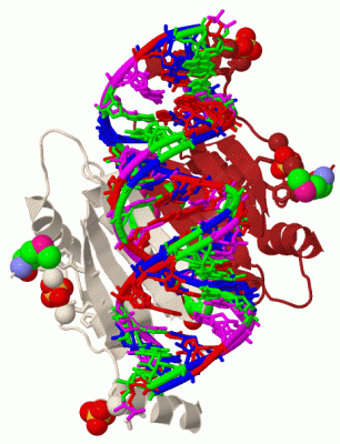 Image Biol.Unit 1 - manually