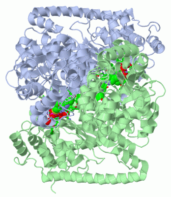 Image Asym./Biol. Unit - manually