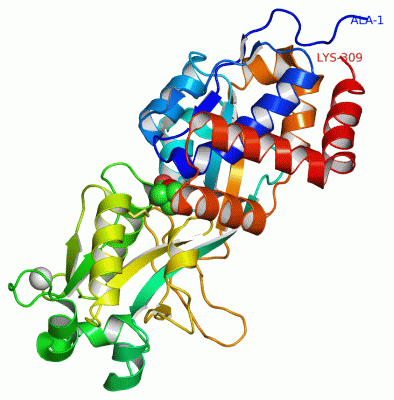 Image Asym./Biol. Unit - manually