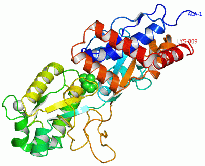 Image Asym./Biol. Unit - manually