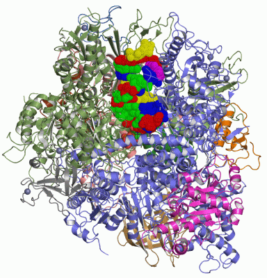 Image Asym./Biol. Unit - manually