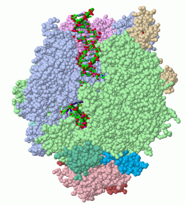 Image Asym./Biol. Unit - manually