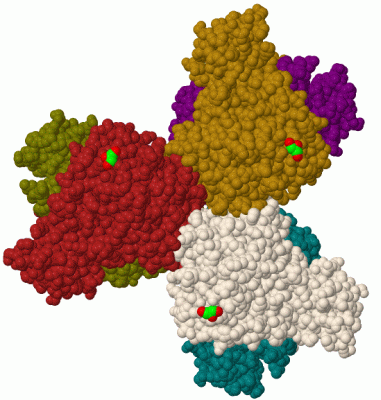 Image Biol.Unit 1 - manually