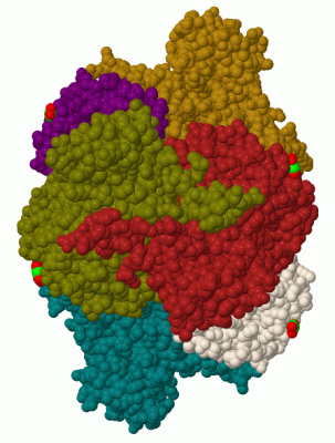 Image Biol.Unit 1 - manually