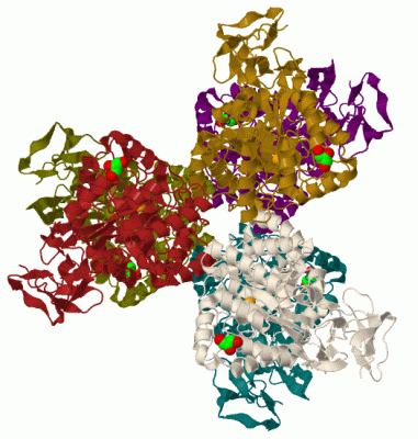 Image Biol.Unit 1 - manually