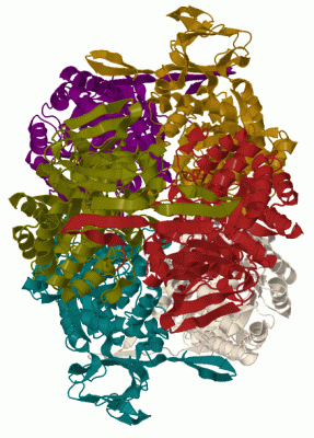 Image Biol.Unit 1 - manually