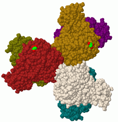 Image Biol.Unit 1 - manually