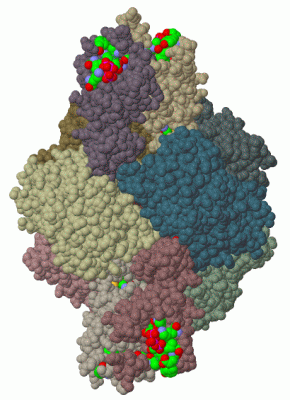 Image Biol.Unit 1 - manually