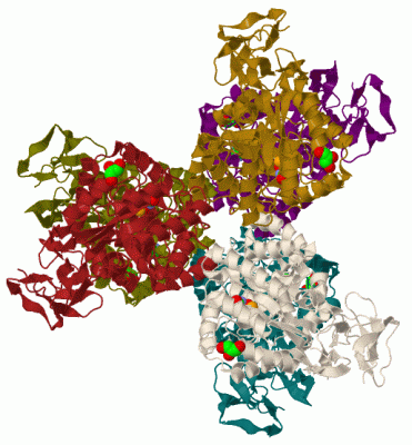 Image Biol.Unit 1 - manually