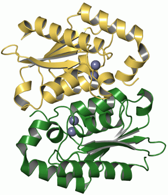 Image Asym./Biol. Unit - manually