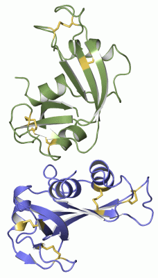 Image Asym./Biol. Unit - manually