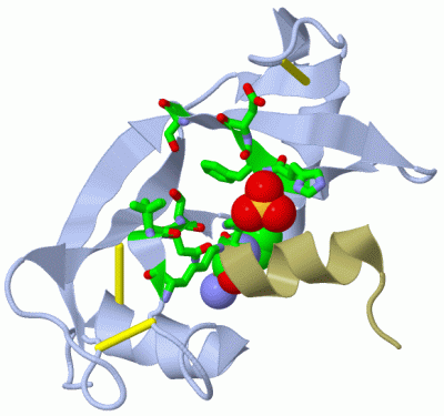 Image Asym./Biol. Unit - manually