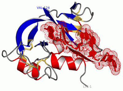 Image Asym./Biol. Unit - manually