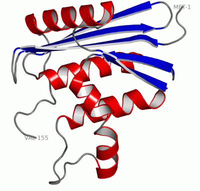 Image Asym./Biol. Unit - manually