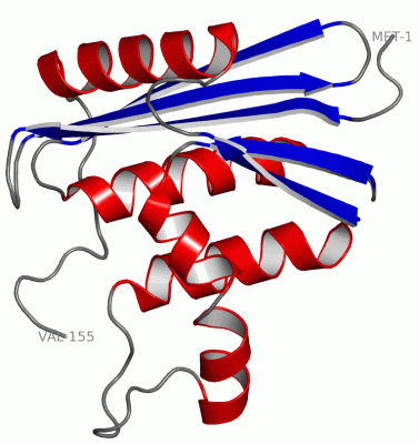 Image Asym./Biol. Unit - manually