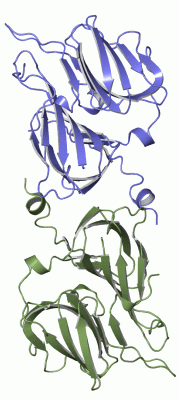 Image Asym.Unit - manually