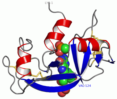 Image Asym./Biol. Unit - manually