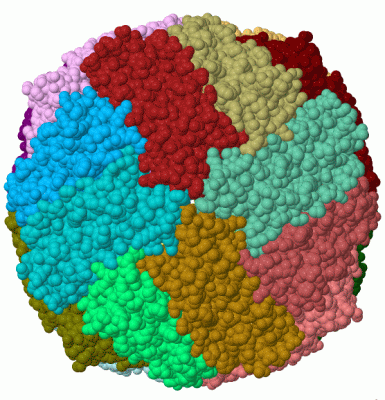 Image Biol.Unit 1 - manually