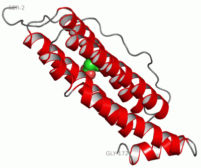 Image Asym.Unit - manually