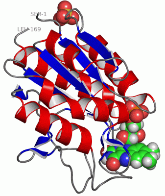 Image Asym./Biol. Unit - manually