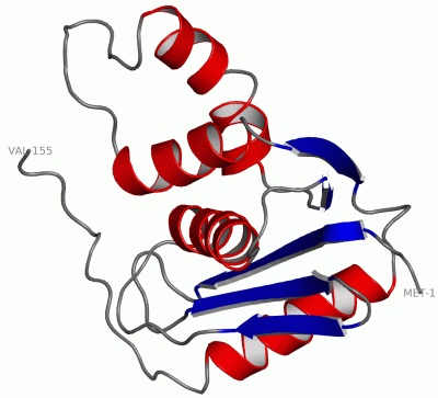 Image NMR Structure - manually