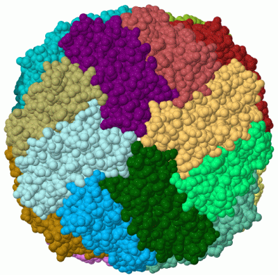 Image Biol.Unit 1 - manually