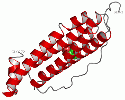 Image Asym.Unit - manually