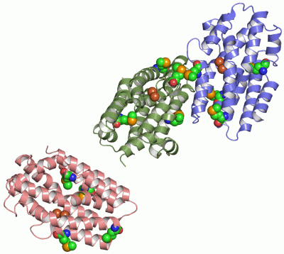 Image Asym.Unit - manually