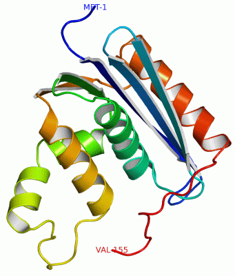 Image Asym./Biol. Unit - manually