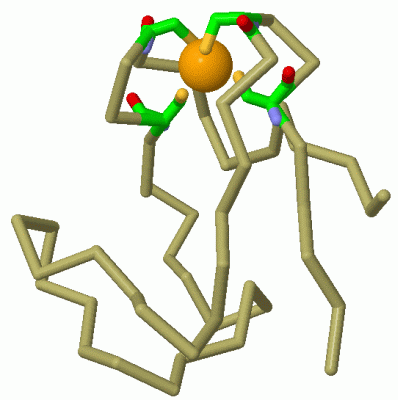 Image Asym./Biol. Unit - manually