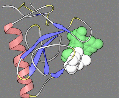 Image Asym./Biol. Unit - manually