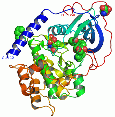 Image Asym./Biol. Unit - manually