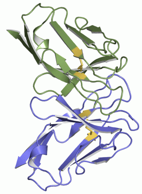 Image Asym./Biol. Unit - manually