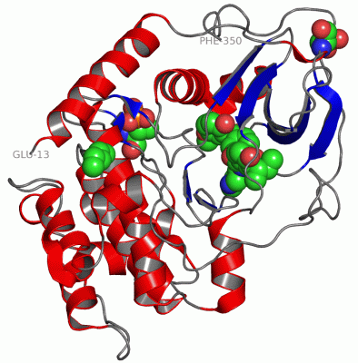 Image Asym./Biol. Unit - manually