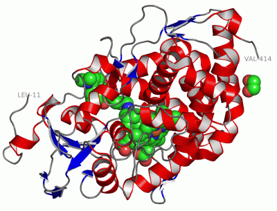 Image Asym./Biol. Unit - manually