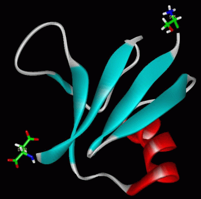 Image NMR Structure - manually