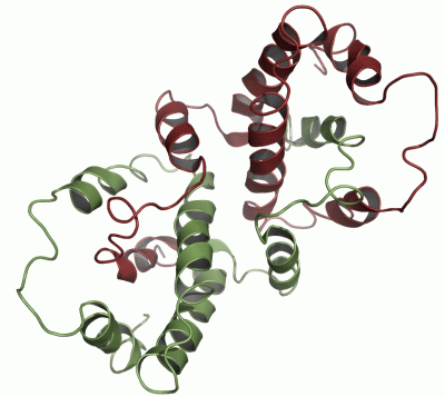 Image Asym./Biol. Unit - manually