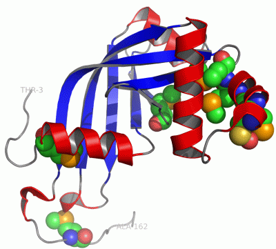 Image Asym./Biol. Unit - manually