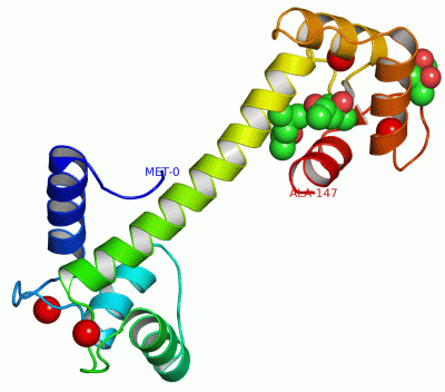 Image Asym./Biol. Unit - manually