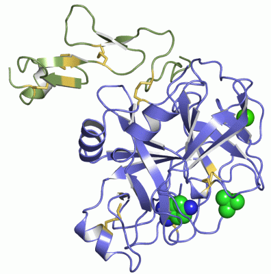 Image Asym./Biol. Unit - manually