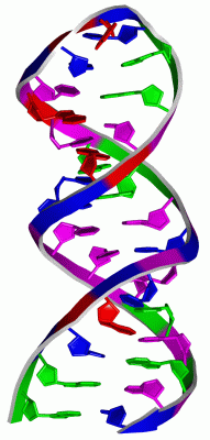 Image NMR Structure - manually