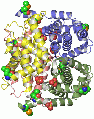 Image Asym./Biol. Unit - manually