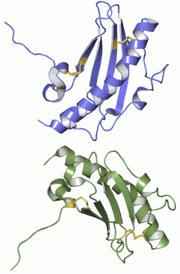 Image Asym./Biol. Unit - manually