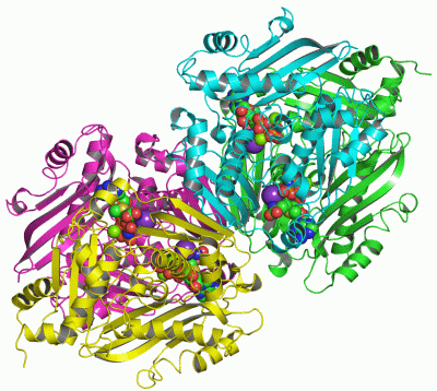 Image Asym./Biol. Unit - manually